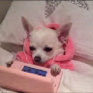 Meet your Posher, Mel